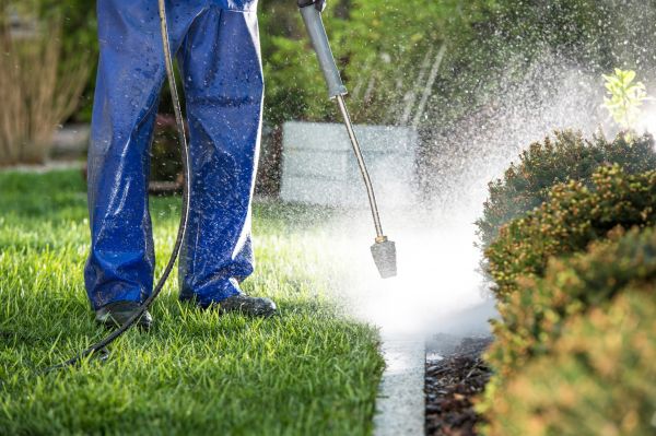 Cost of Curb Cleaning in Lafayette