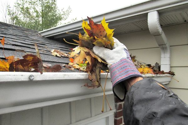 Cost of Eaves Cleaning in Lafayette